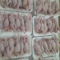 فروش ویژه ی گوشت بلدرچین