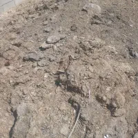 انبار گوسفندی