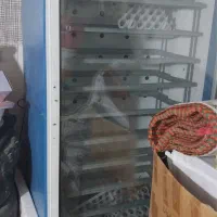 دستگاه جوجه کشی