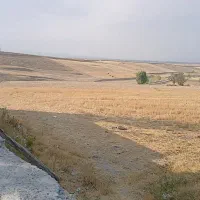فروش-جای-باغ-زیر-قیمت-متری-زیر-2میلیون