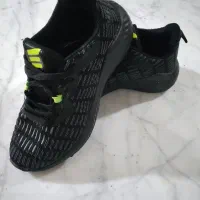 کفش اسپورت