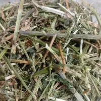 یونجه خردش شده