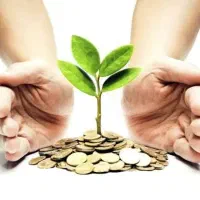 سرمایه گذار،سرمایه گذاری،سرمایه پذیر،فرصت ارزی