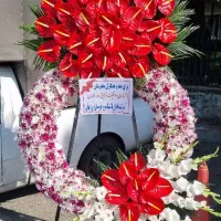 گلهای ایرانی خارجی تاج گل اهنگ