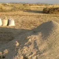 کاه نخود با سینی باگندوم