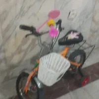 سه عدد دوچرخه 12