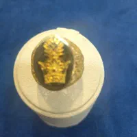انگشتر طلا مردانه (فسا)