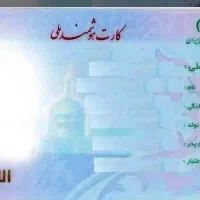 کارت ملی گمشده به نام محمدرضا پهلوانی نژاد