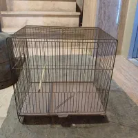 سه تا قفس سره قناری و پرنده دونه ای ۴۵۰ تومن