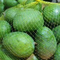 ارسال انبه و ترشی (بندرعباس) انبه درجه یک،دو و 3