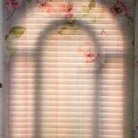 ۲ عدد پرده زبرا