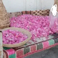 علی بابا