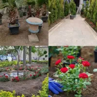 هرس کردن .کاشت گل گیاه .سمپاشی گل و گیاه