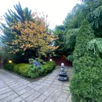 ویلاباغ وسیع دلبازبادرخت مرکبات وآلاچیق/۸۵۰زیرقیمت