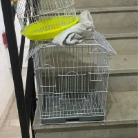 قفس پرنده