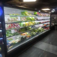 تعمیر یخچال صنعتی خانگی تعمیرات یخچال صنعتی