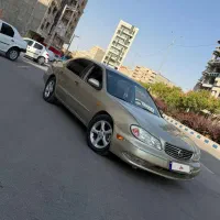 ماکسیما