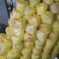 نبات