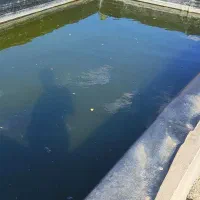 باغ بادام بالای اتوبان