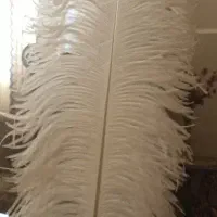 پر علامت