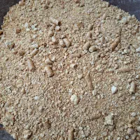 سویا|حیوانات مزرعه|کبودرآهنگ, |دیوار