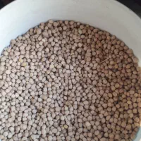 نخود و عدس برا فروش داریم عدس  پخته پخته نخود