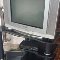 تلویزیون