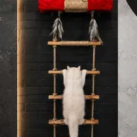 شلف گربه ، اسکرچر ، اسباب بازی گربه