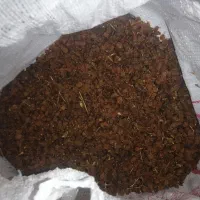 سبزه تیزابی امسال