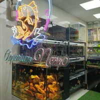 آکواریوم نمو افتتاح شد