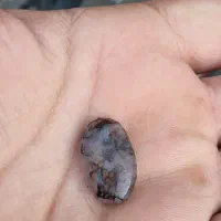 سنگ بسیار زیبا شجر