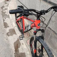 دوچرخه ویوا تنه۲۹