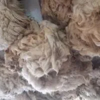 پشم شستشوی  شده