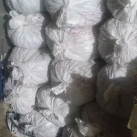 تفاله چغندر