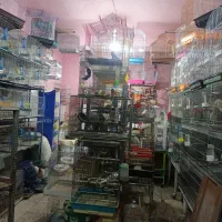 پرنده سرای شاهان