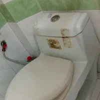 توالت فرهنگی