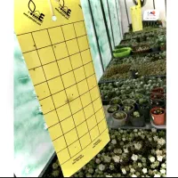 کارت جذب حشرات