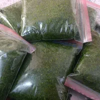 فروش انواع سبزیجات