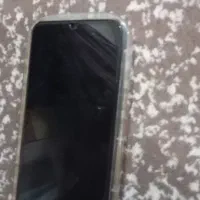شیامی پوکوc۶۵
