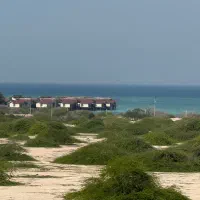 رسانه خبری کیشوند در پیام رسان بله