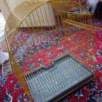 قفس|لوازم جانبی حیوانات|اندیمشک, |دیوار