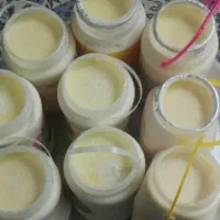 ماست محلی پرچرب