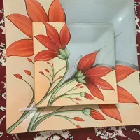 فروش فوری لوازم پذیرایی نو با کارتن.