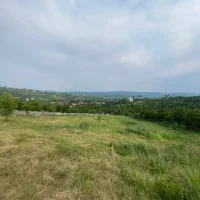 زندگی در کلبه ای پر از آرامش جنگل