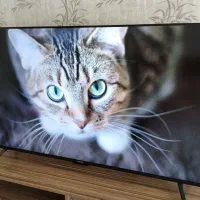 تلویزیون ۵۰ اینچ 4K ایکس ویژن در حد نو