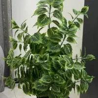 درختچه مصنوعی