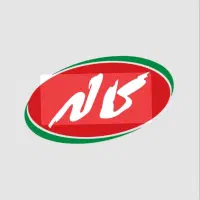 جذب ویزیتور حضوری شرکت کاله .   فوری