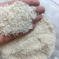 برنج هاشمی درجه یک سورتینگ شده