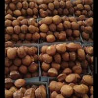کیک فنجانی