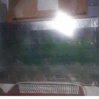 آکواریوم مارک دلسا